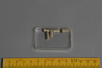 F 03447
<br/>
<br/>
<em></em>